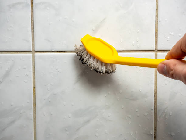 Best Fast Mold Removal  in Clatskanie, OR
