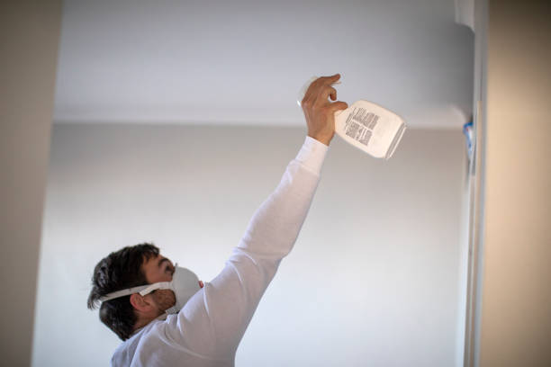 Best Attic Mold Removal  in Clatskanie, OR