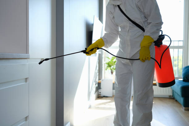 Best Mold Damage Repair  in Clatskanie, OR
