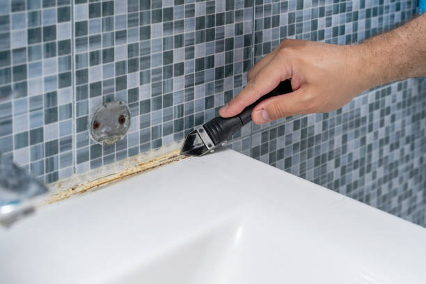 Best Toxic Mold Removal  in Clatskanie, OR