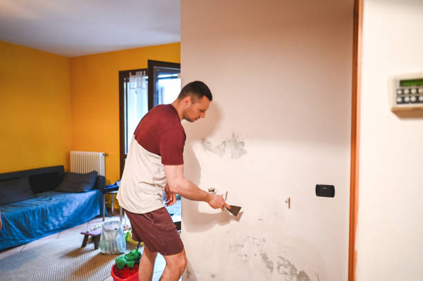 Best Mold Remediation Experts  in Clatskanie, OR