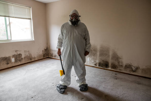 Professional Mold Removal in Clatskanie, OR